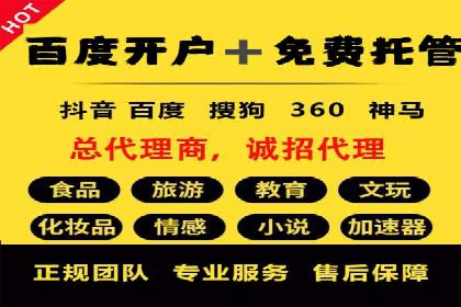 行业领先企业的SEM广告投放策略案例